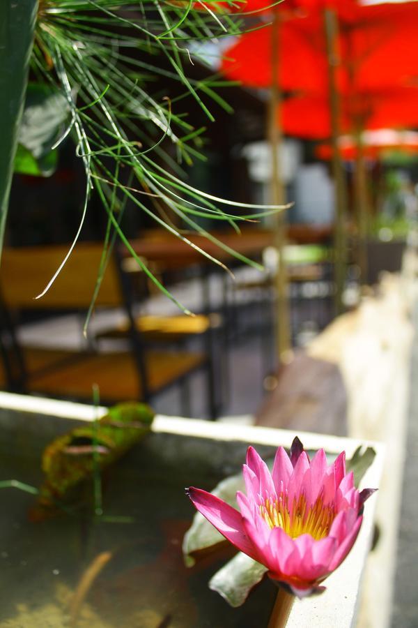 Nawa Sheeva Hotel Chiang Mai Bagian luar foto